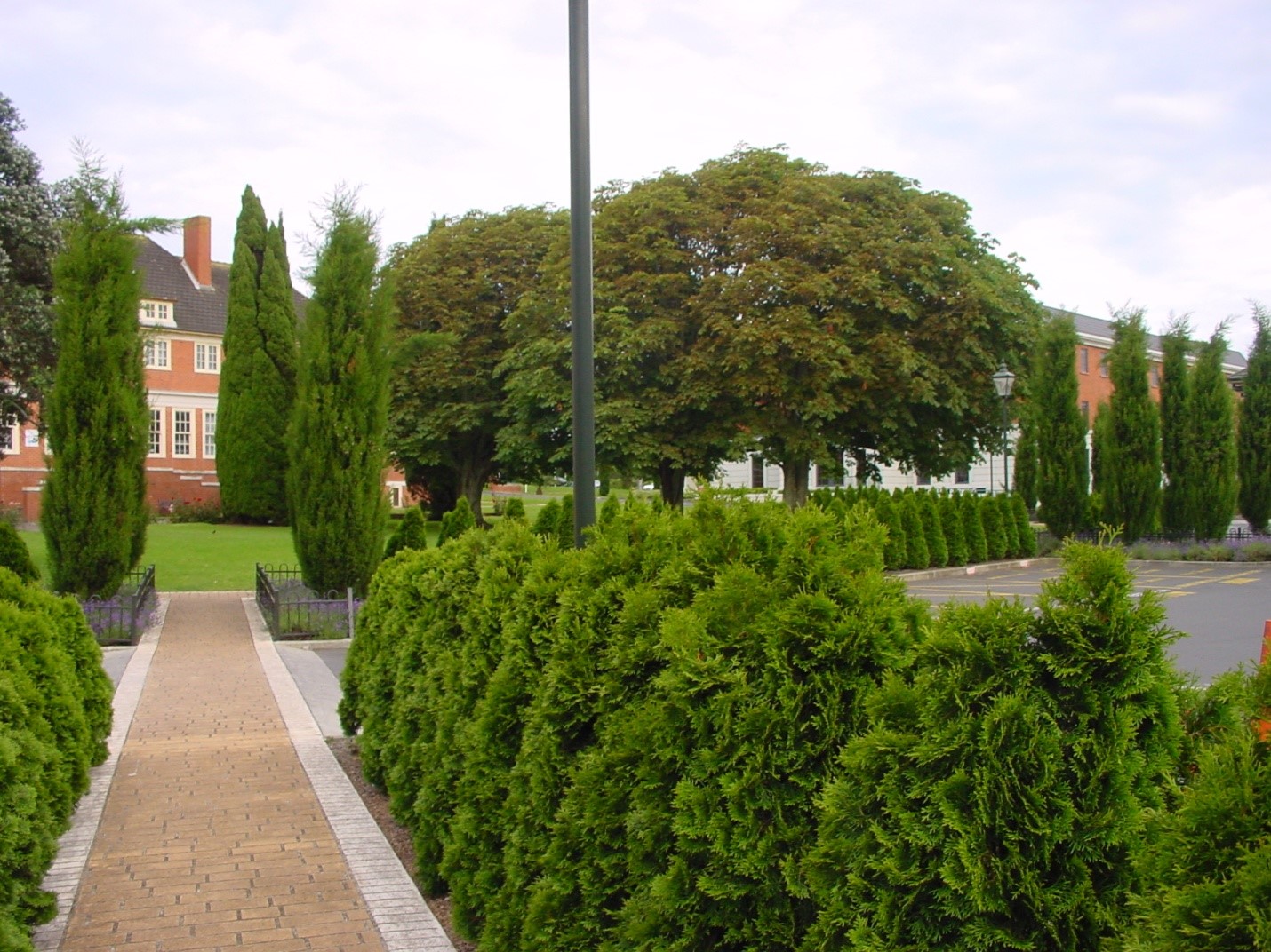Garden with clipped hedging and roses at Bledisloe Estate