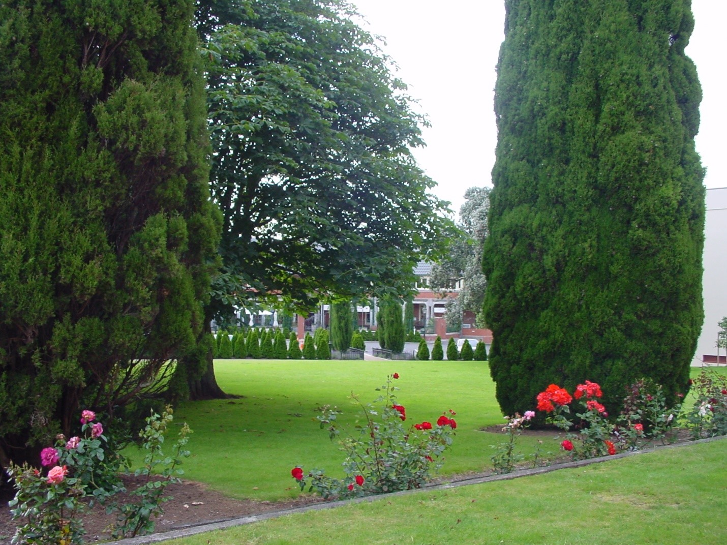 Path flanked by tall conifers leading to lawns and mature trees
