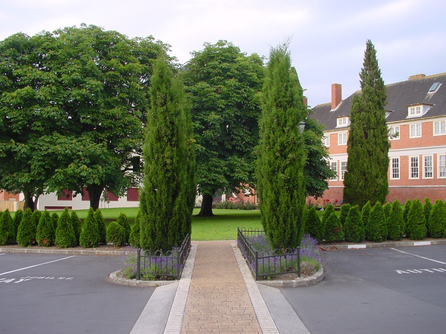 Central avenue with symmetrical evergreen planting