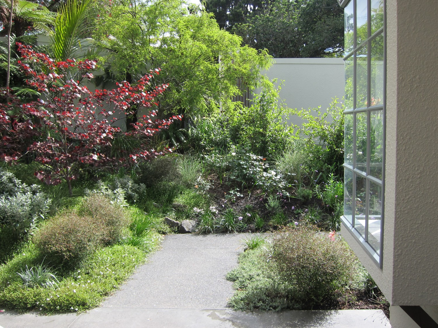 Formal garden and drive in Epsom