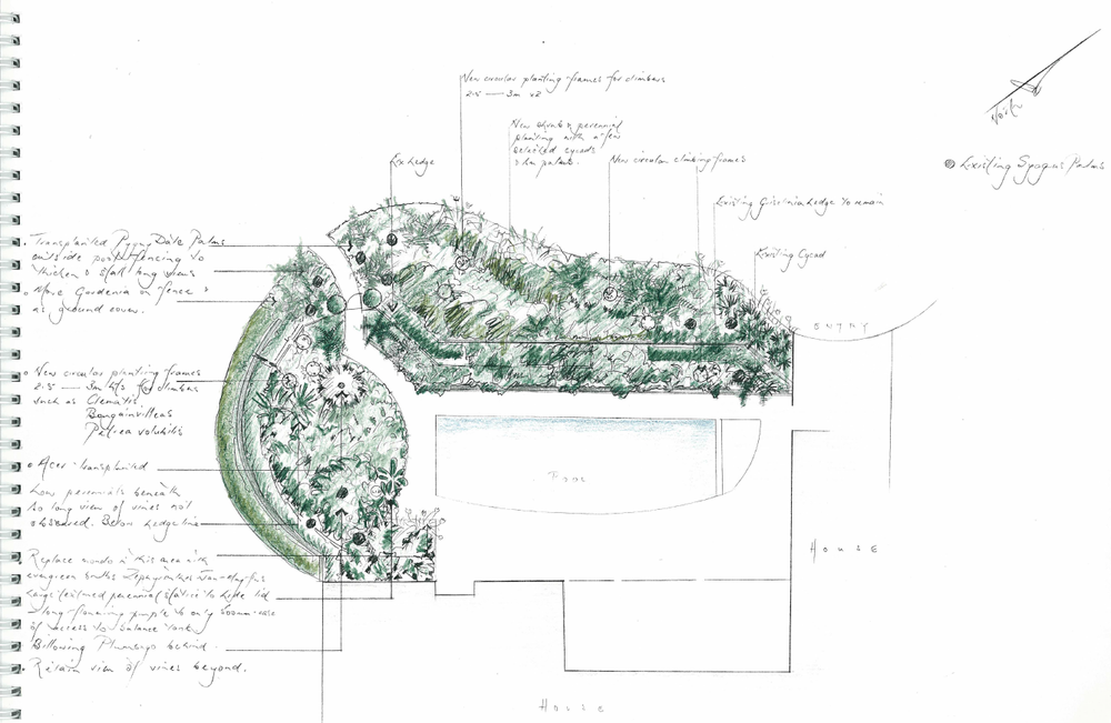 Hand-drawn planting plan with detailed notes