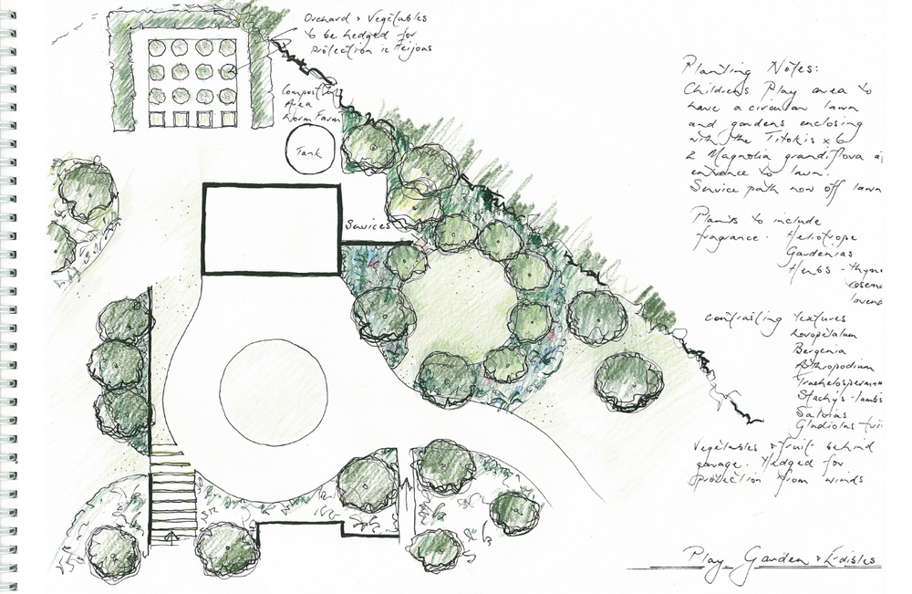 Hand-drawn planting plan with detailed notes