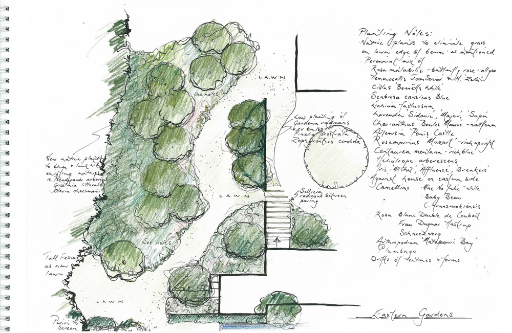 Hand-drawn planting plan with detailed notes